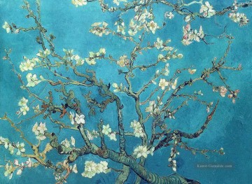  blumen - Zweige mit Mandelblüte Vincent van Gogh impressionistische Blumen